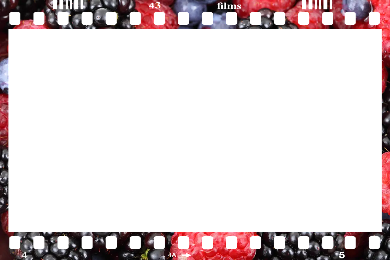 거룩한밤 데몬헌터스