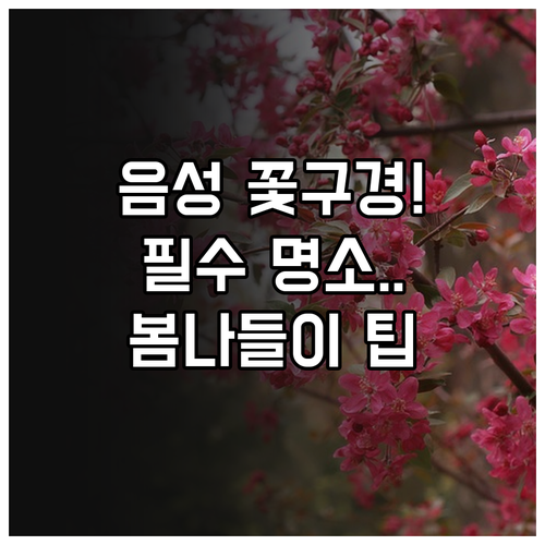 음성 3월 봄꽃 구경 명소 설성공원과..