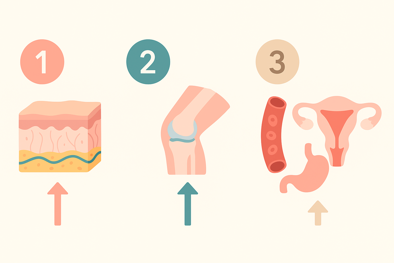 3형 콜라겐 섭취법