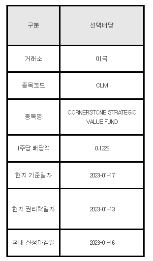 미국주식 선택배당 안내 CLM