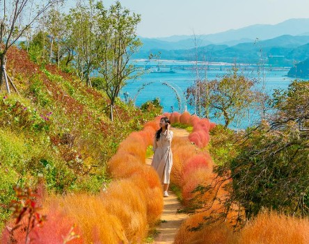 삼척 관광지도