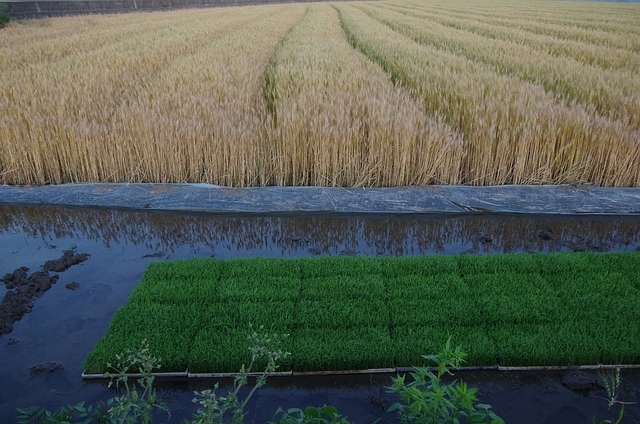 2025년 공익직불제 공익직불금