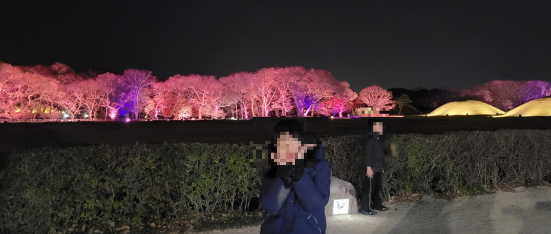 경주 불국사