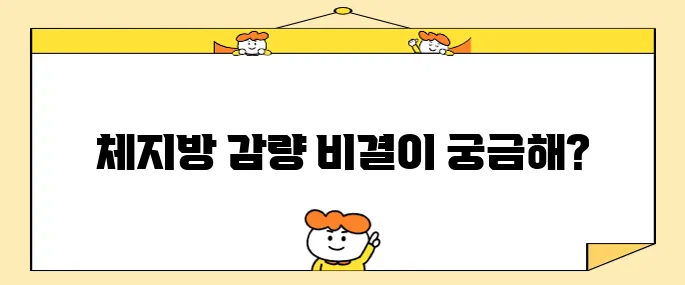 체지방 감량을 위한 10가지 방법과 계산기 활용법 안내입니다!