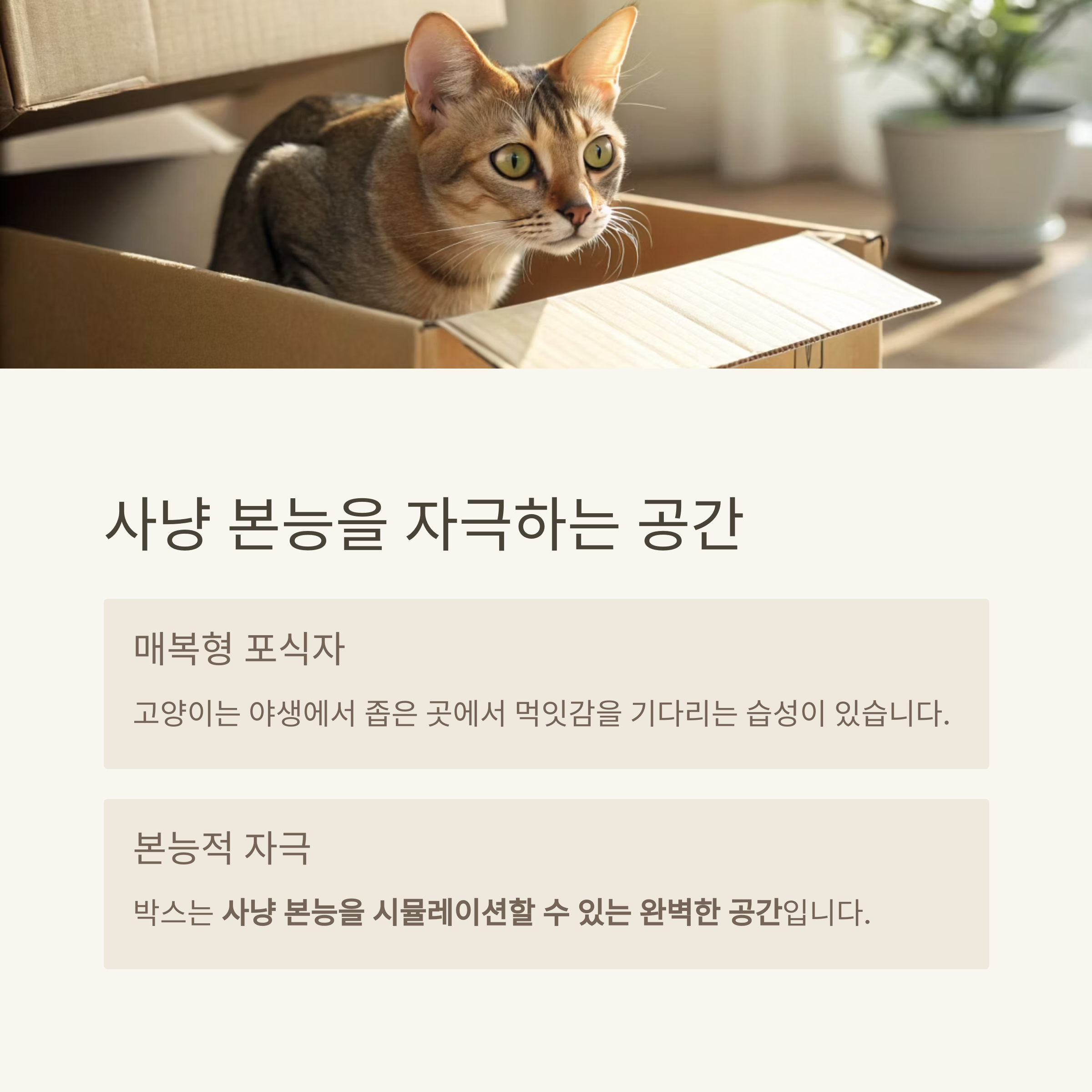 사냥 본능을 자극하는 공간