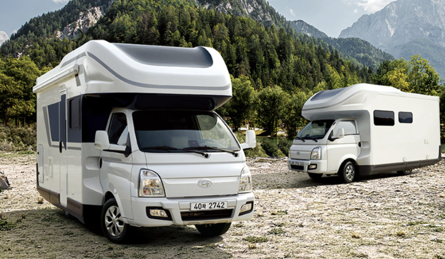 포터2 포레스트