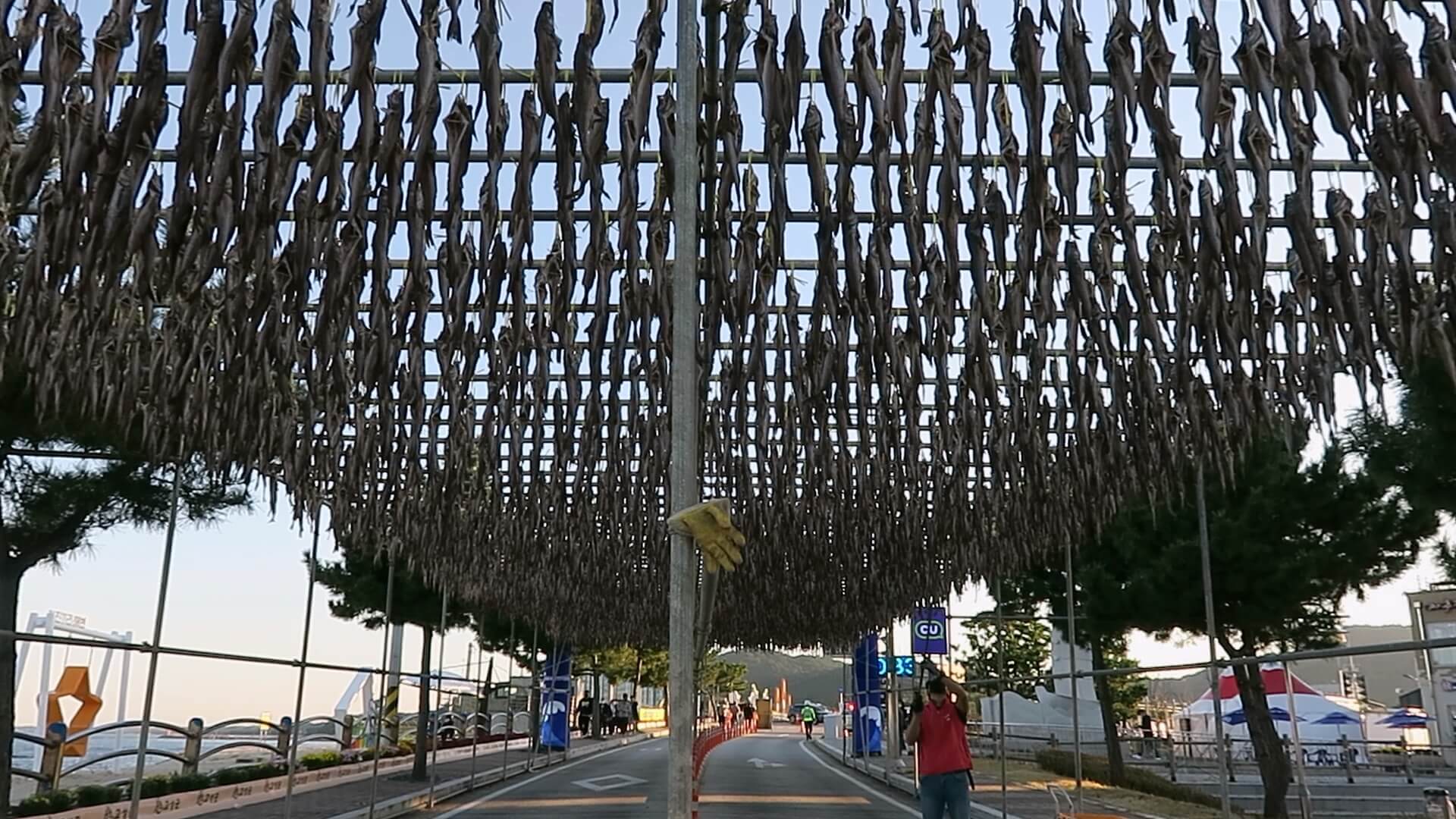 강원도 고성 거진 해변 11리 고성통일명태축제