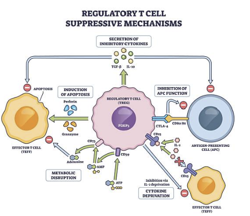 Pathway 분석이 과학적 사실처럼 오해되는 순간