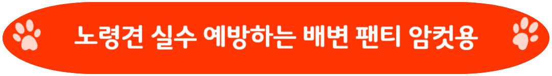 노령견 실수 예방하는 배변 팬티 암컷용