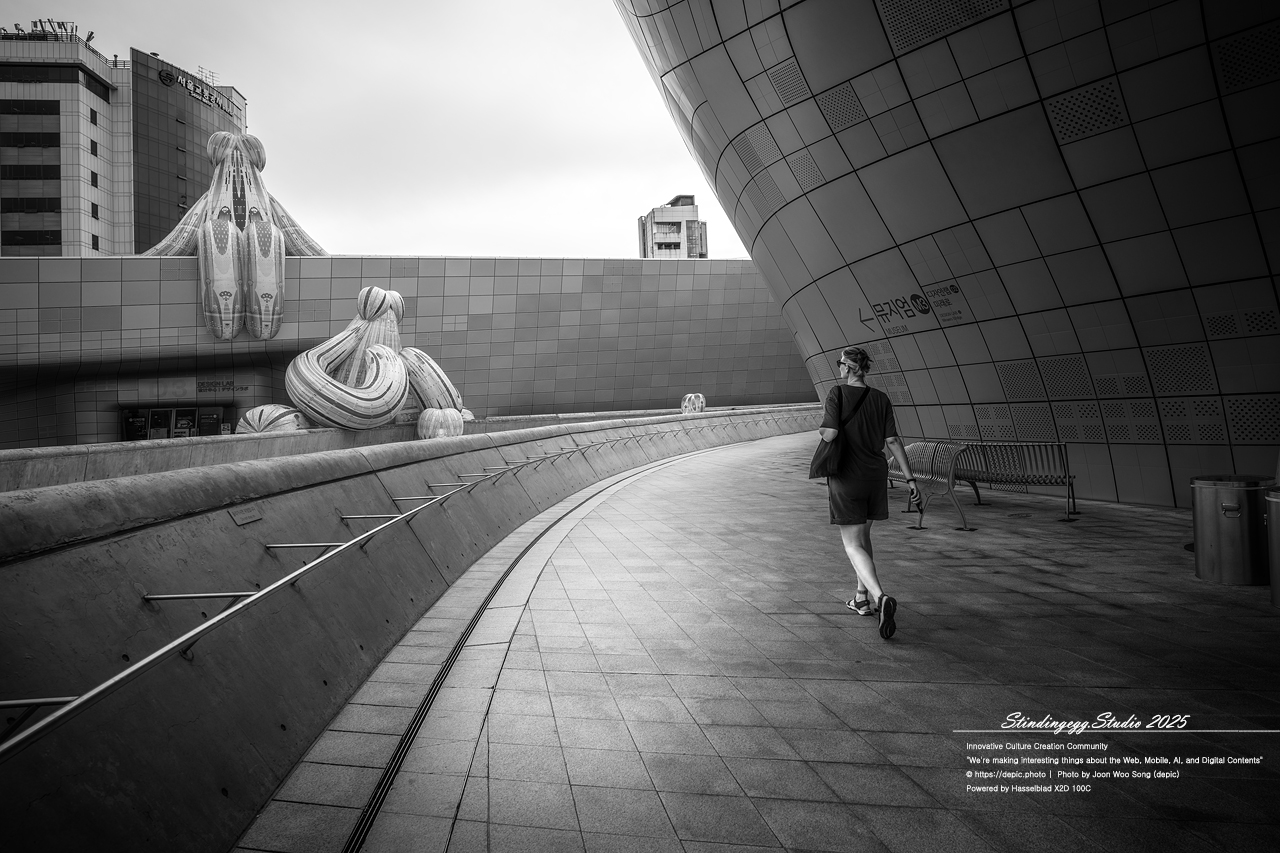 #서울 #동대문디자인플라자 #패션 #디자인 #DDP