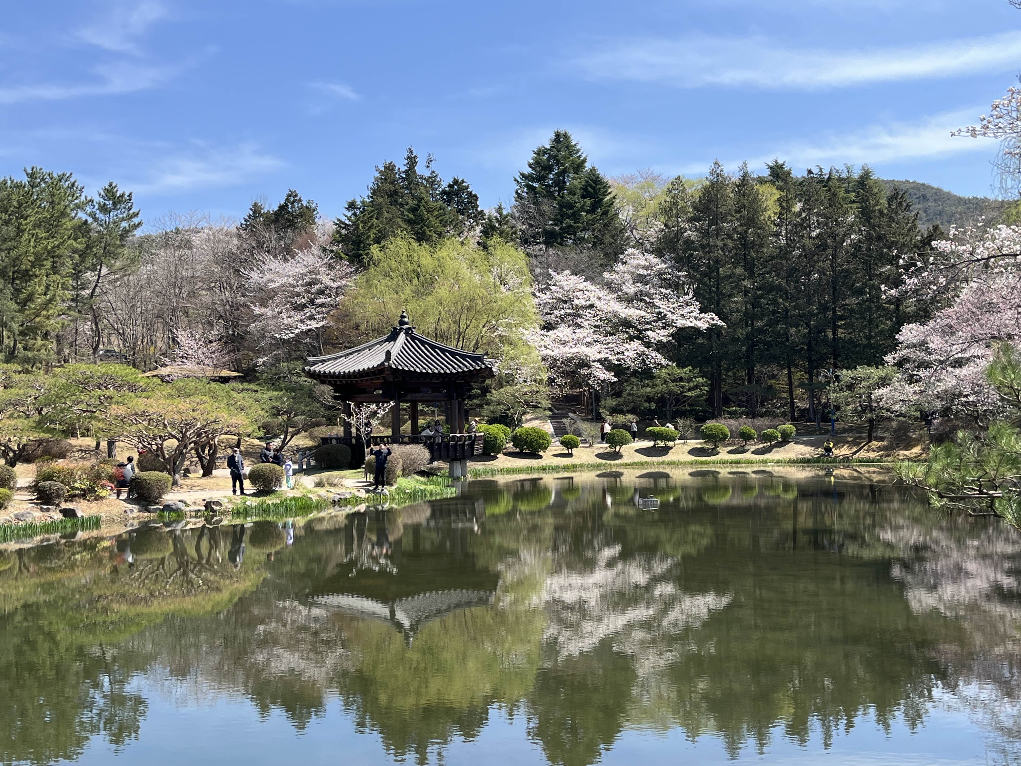 경주 보문정
