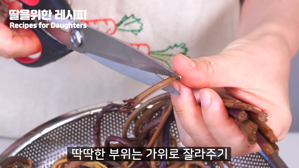 가위로 고사리 끝부분을 손질하는 장면