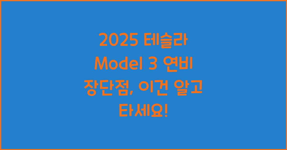 2025 테슬라 Model 3 연비 장단점