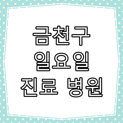 서울시 금천구 일요일 진료 병원과 진료시간