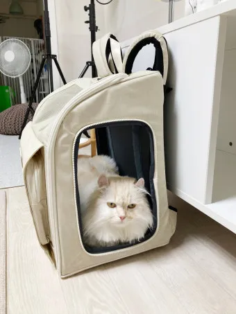 고양이 이동장, 이동가방 추천, 이동 백팩, 케이지_30