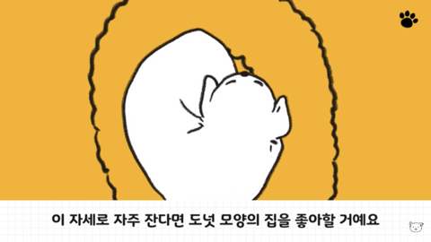 이 자세로 자주 잔다면 도넛 모양의 집을 좋아할 거예요