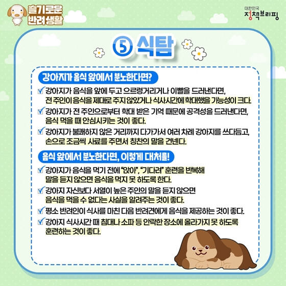 강아지식탐없애는법