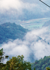 발왕산 케이블카 요금