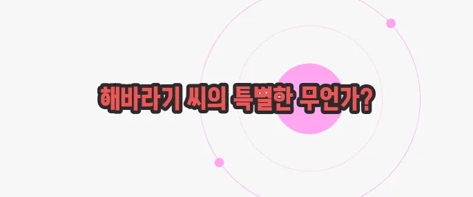 해바라기 씨 효능 궁금한 점, 풀어보죠