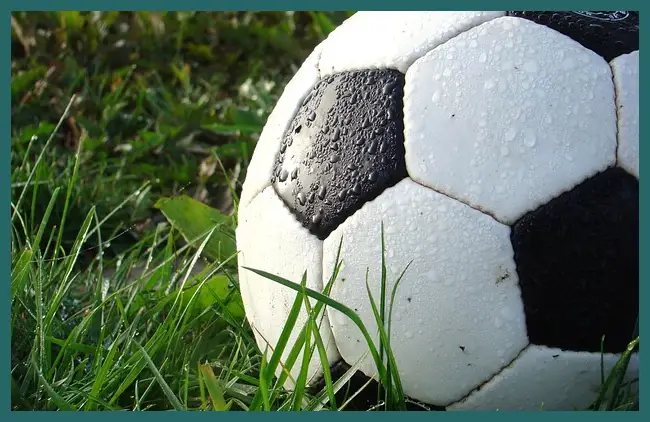 한국 쿠웨이트 축구 중계 방송 바로보기 어디서