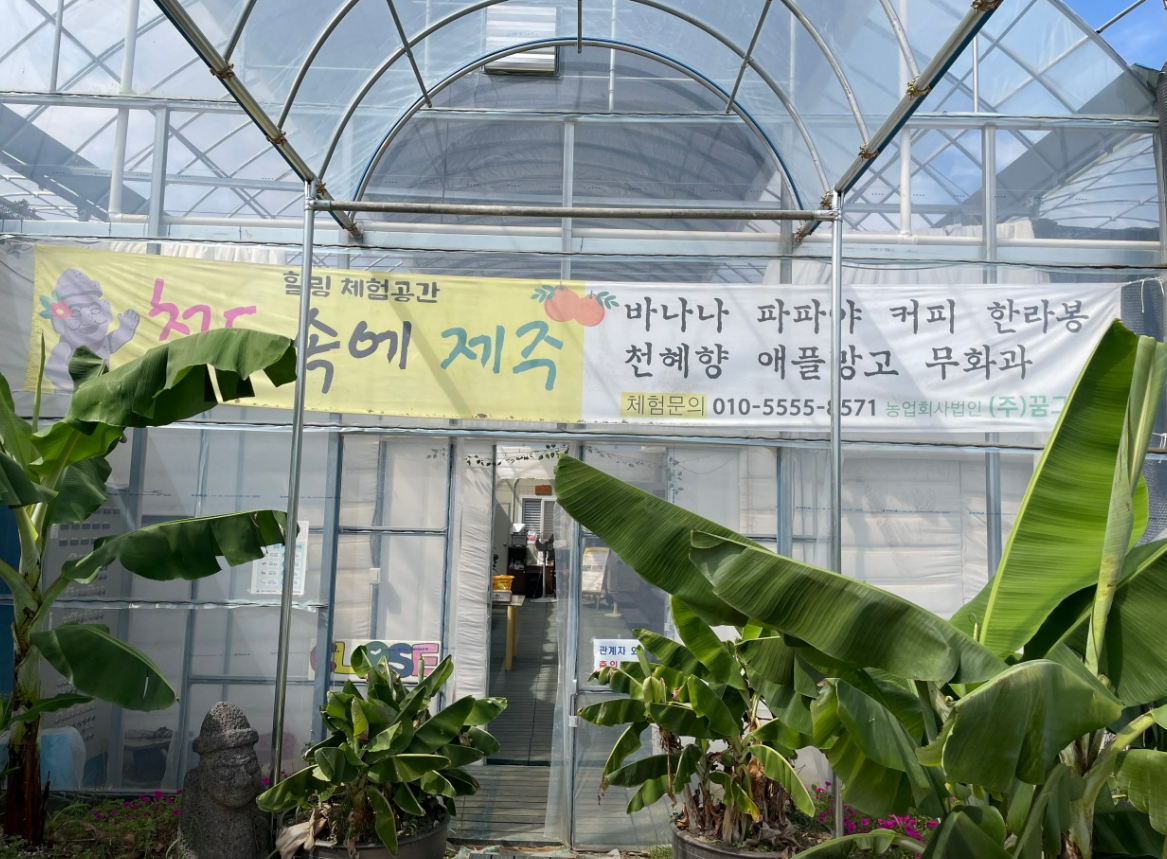 &amp;lt; 생방송투데이 보고 먹고 즐기다 3GO 여행 창녕&amp;#44; 청도편 &amp;gt;