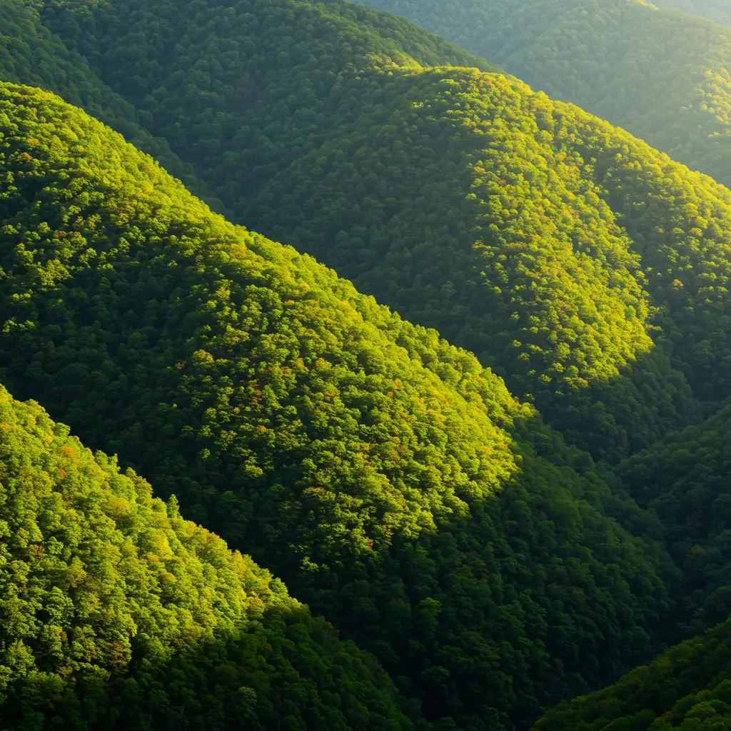 2025년 임업직불금 신청 기간