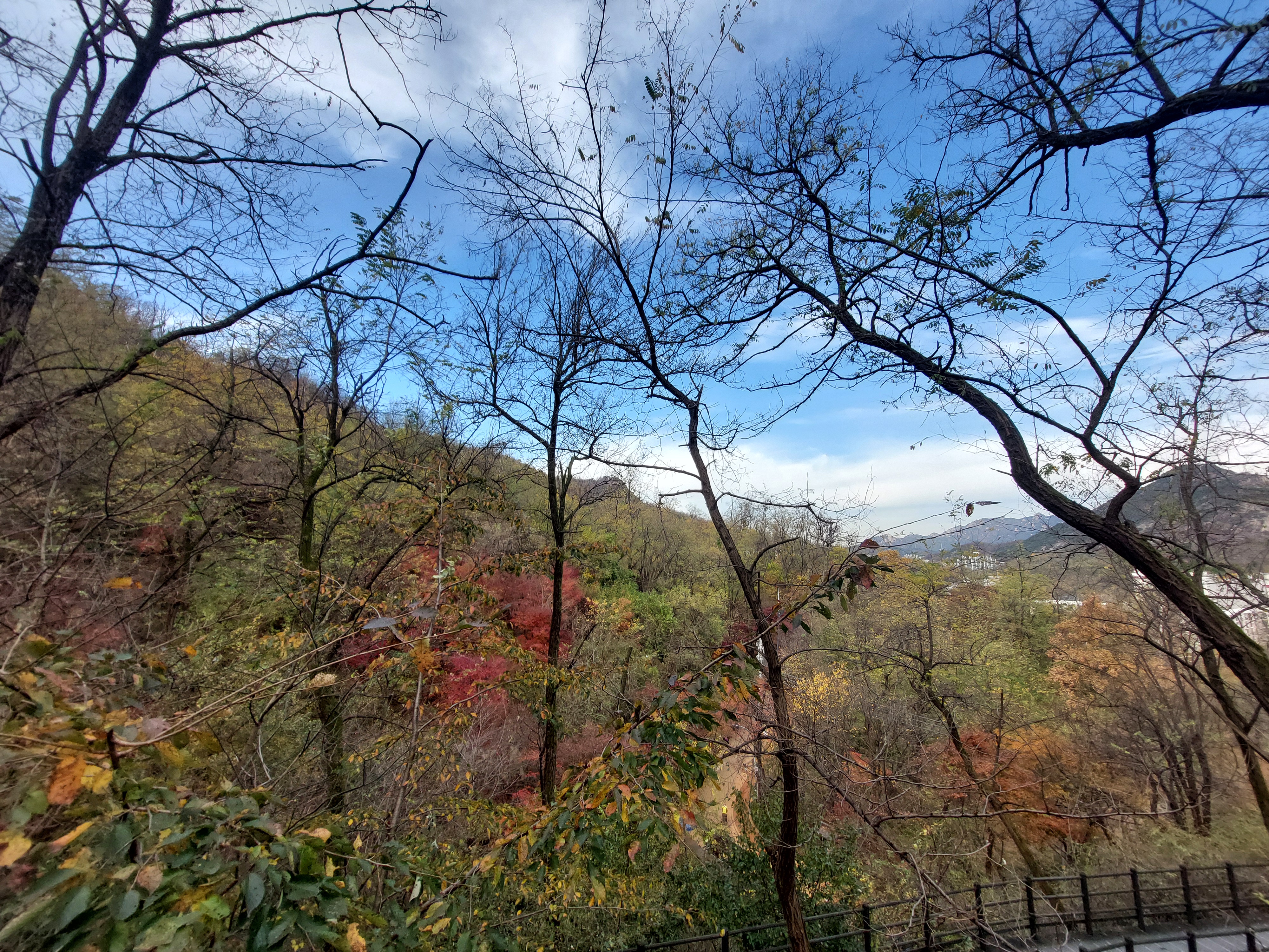 안산