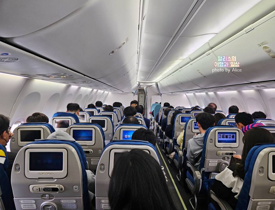 202403 부산 출발 내항기 / 인천 ICN - 시드니 SYD 대한항공 직항 후기