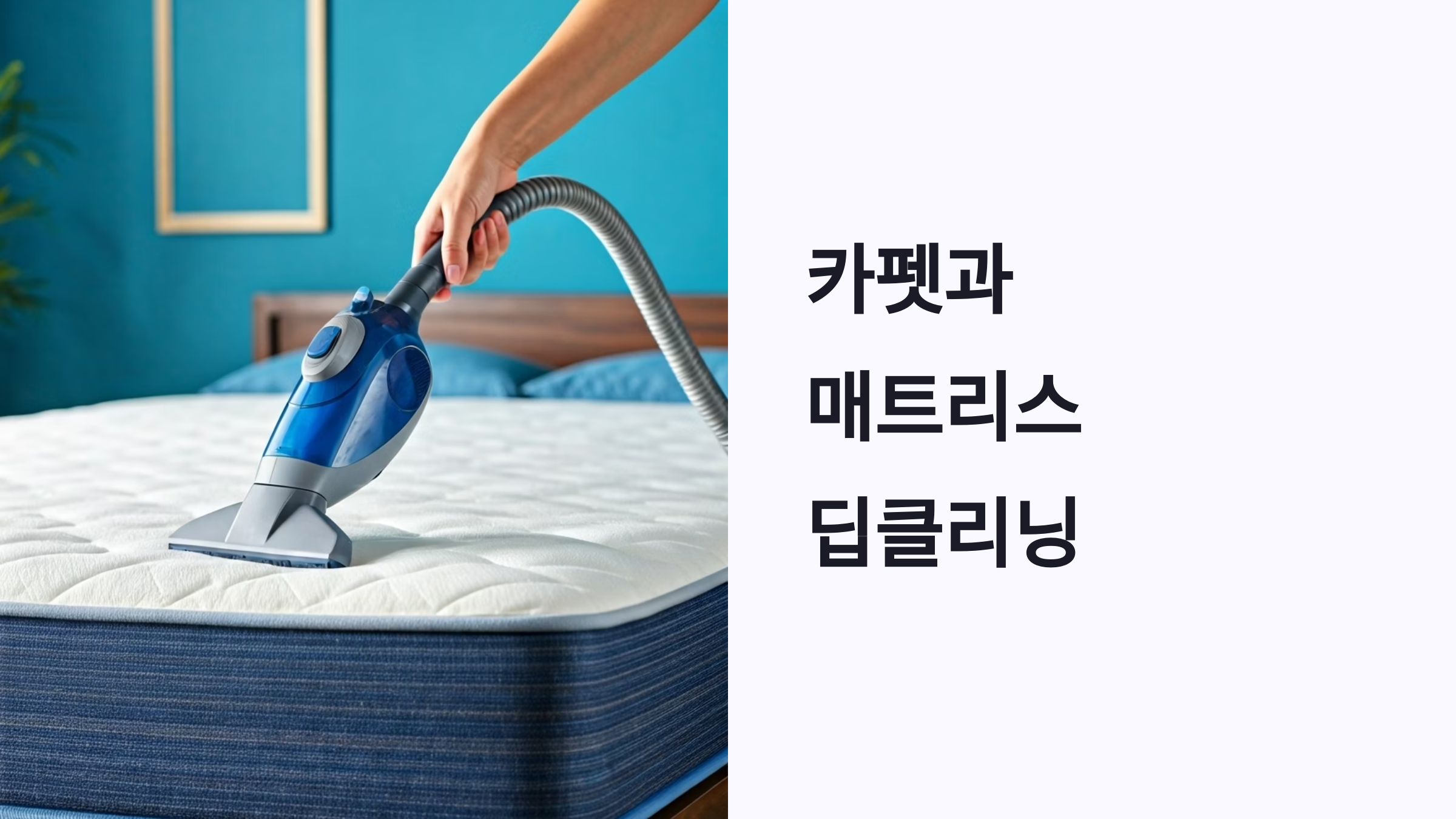 카펫 매트리스 딥클리닝