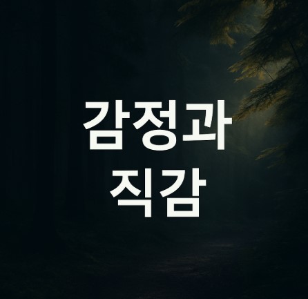 직감과 감정의 경계에서 나를 만나다
