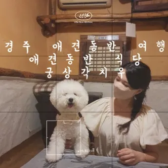 강아지 동반 애견 동반 여행 국내 베스트 10_21