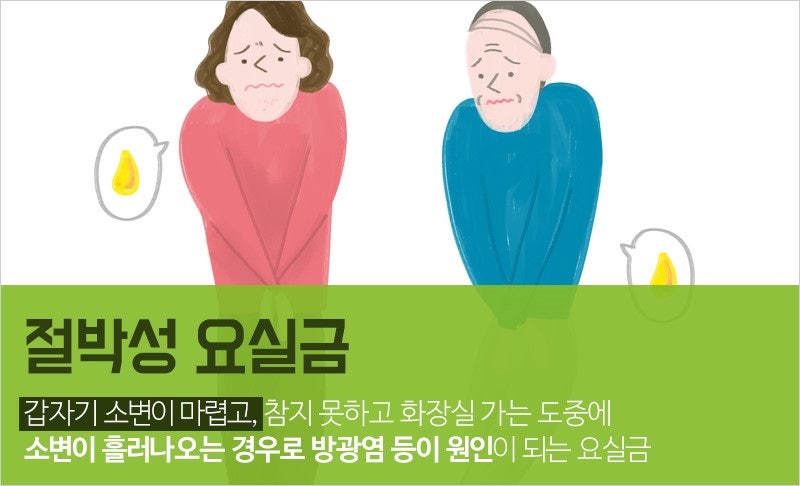 요실금 예방 및 치료에 관한 모든 것 관련 사진