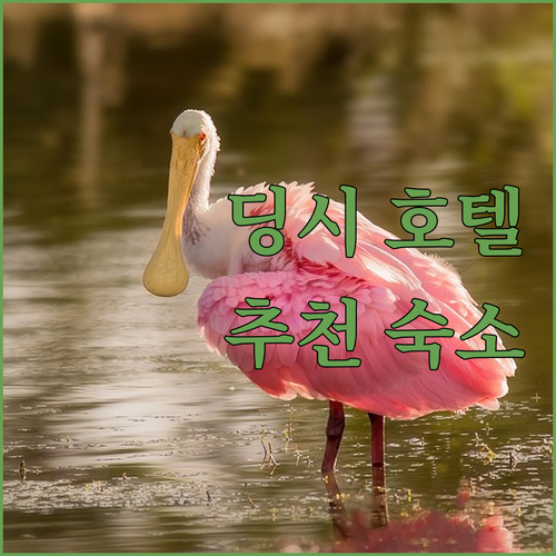 딩시 호텔 선택 가이드 고속철도 & ..