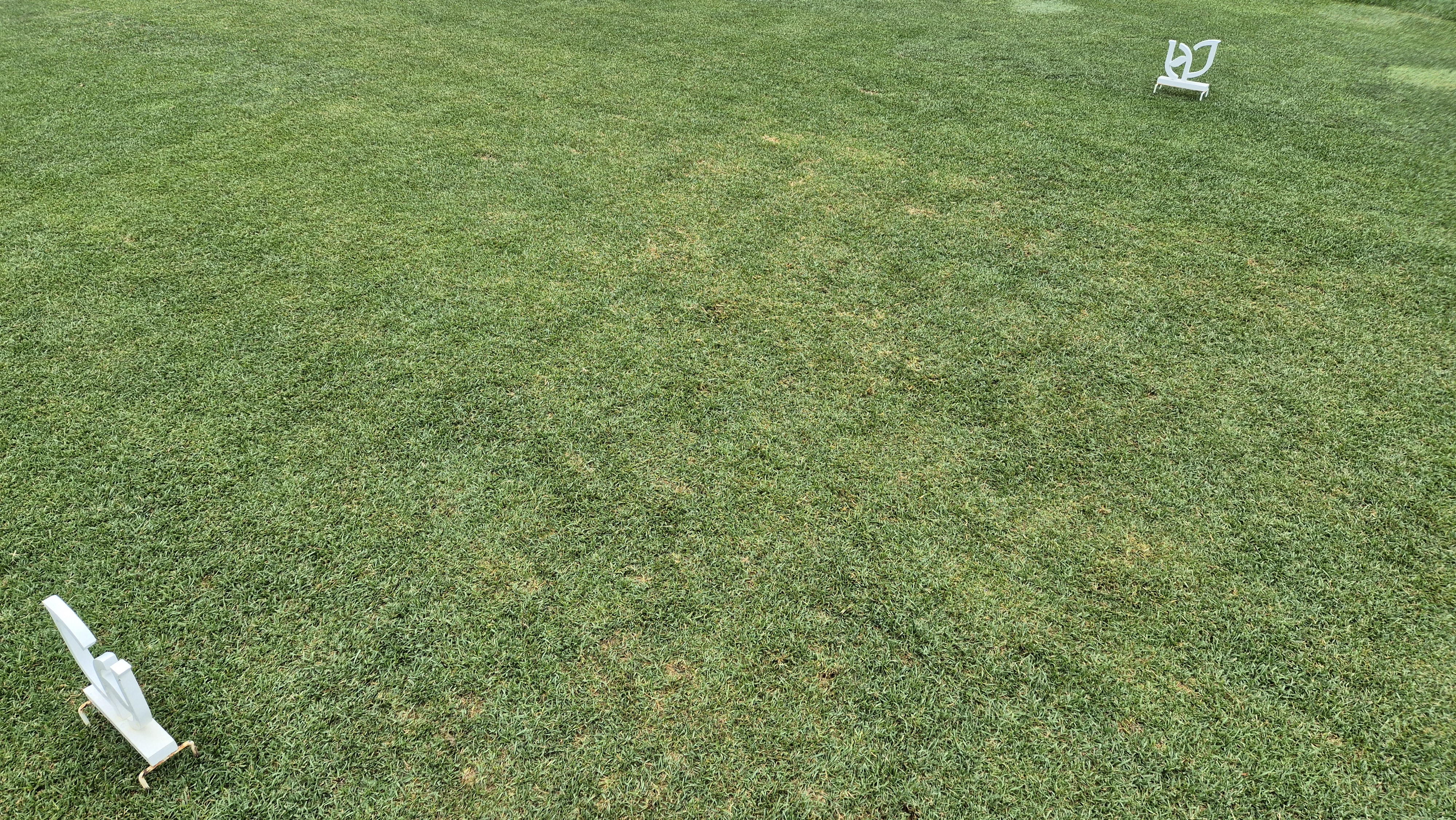 파인리즈cc 라운드 후기