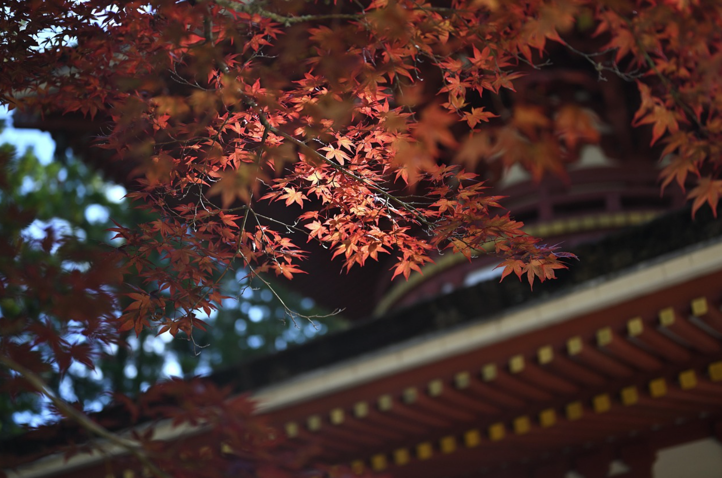 일본 풍경 사진