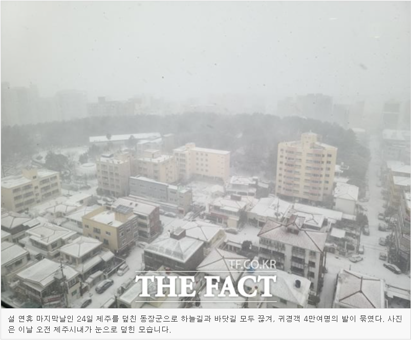 제주결항