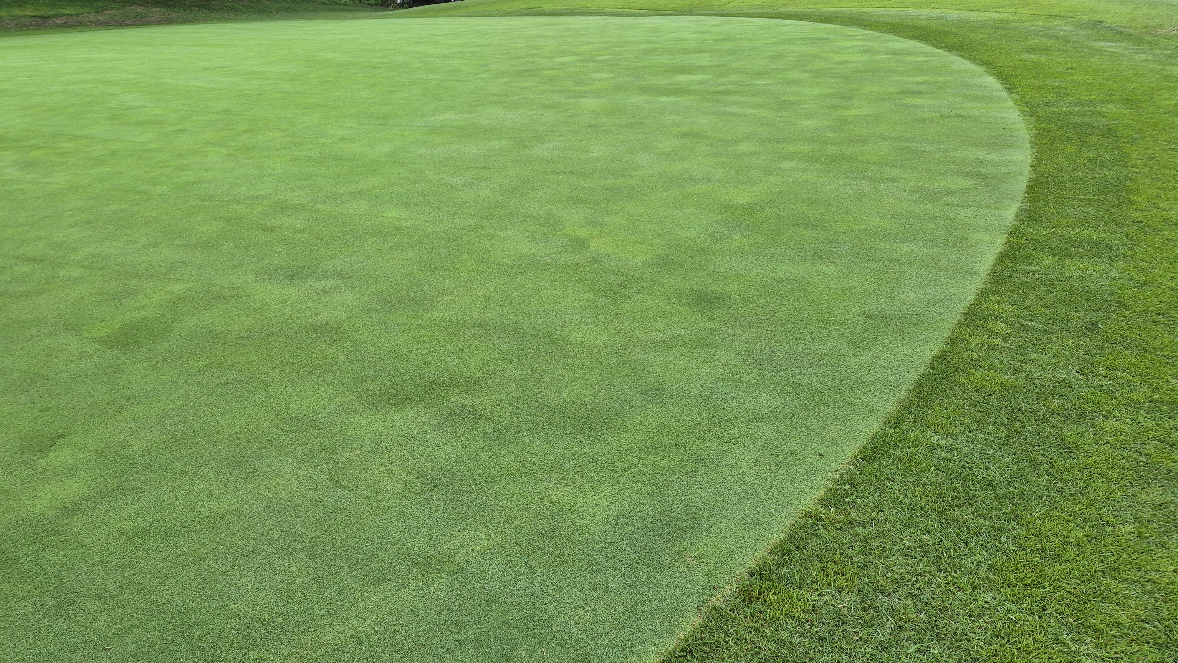 뉴스프링빌cc 라운드 후기