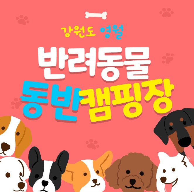 반려견동반-캠핑장-추천