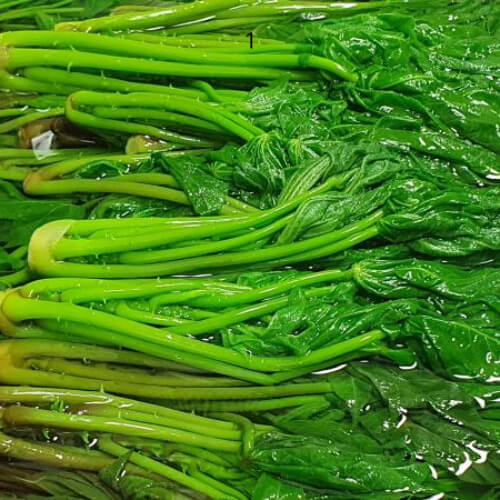 엄나무순장아찌 데치기 먹는법 효능과 보관법 관련사진