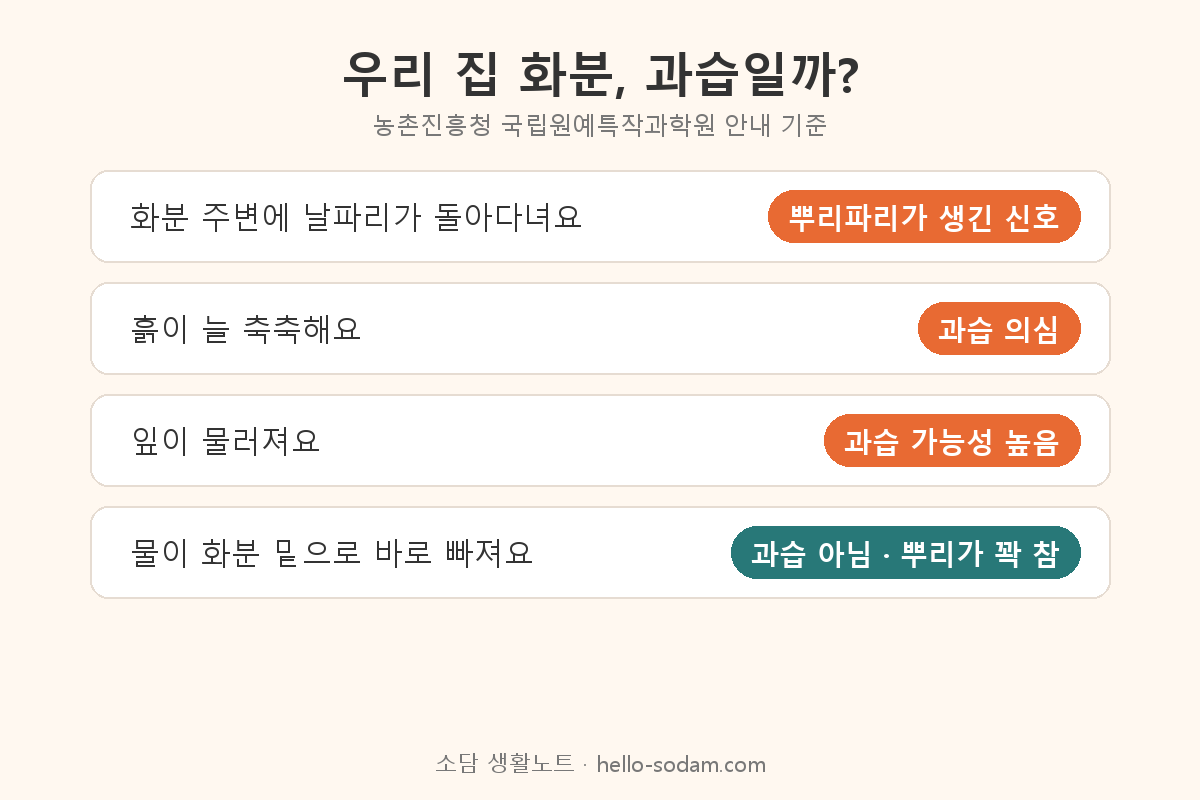 화분 과습과 뿌리파리 신호 확인표 날파리 축축한 흙 무른 잎