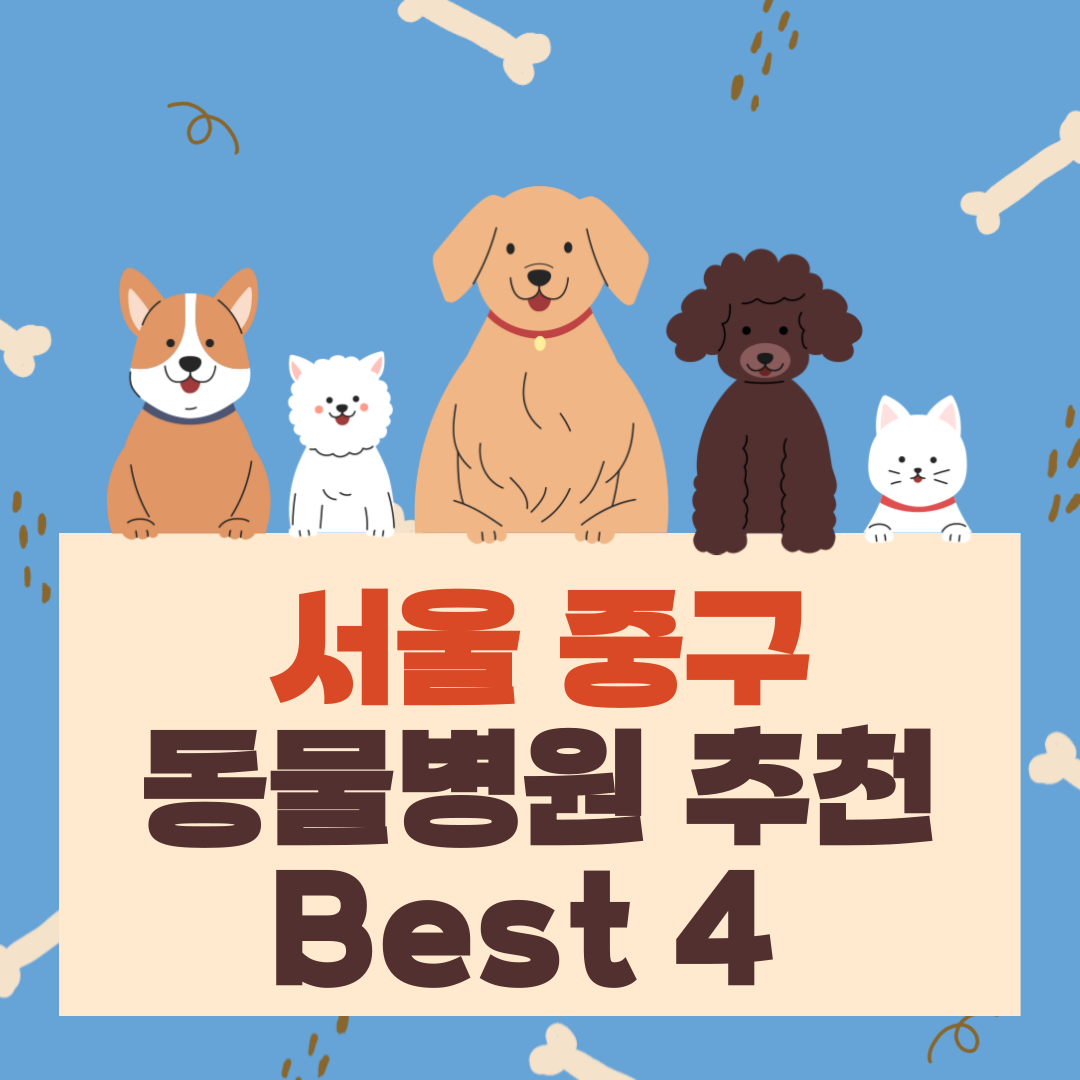 서울 중구 동물병원 추천
