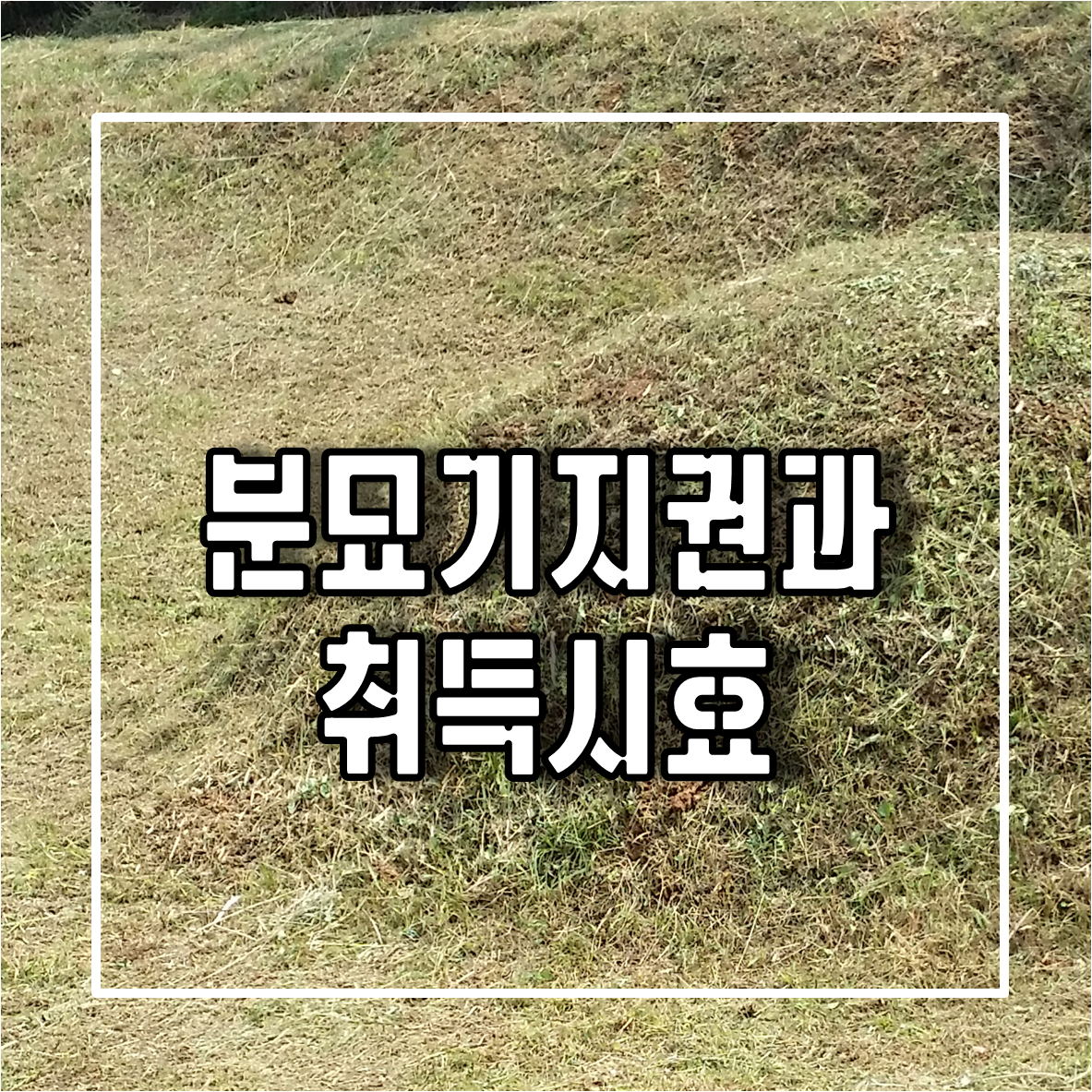 분묘기지권과 취득시효