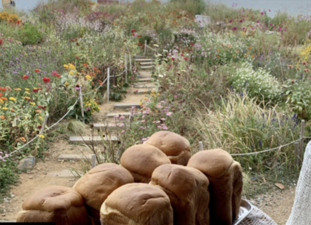 봄 소풍 카페 추천! 서울 경기 남해까지, 사진 맛집 피크닉 카페 BEST 4