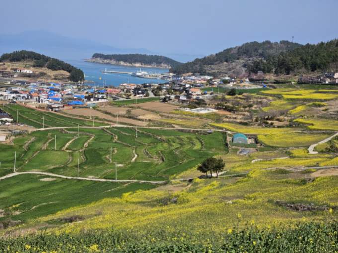 청산도 슬로우 걷기 축제: 자연과 문화의 완벽한 조화