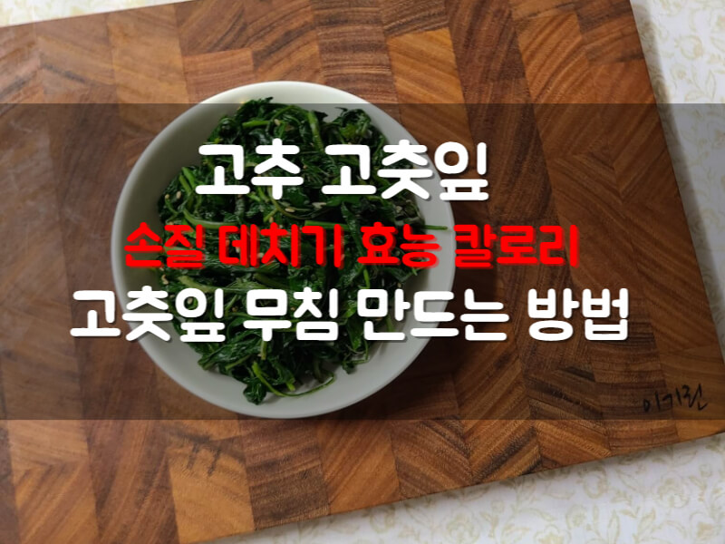 고춧잎무침 볶음 만드는 법 밑반찬레시피 고추 효능과 칼로리