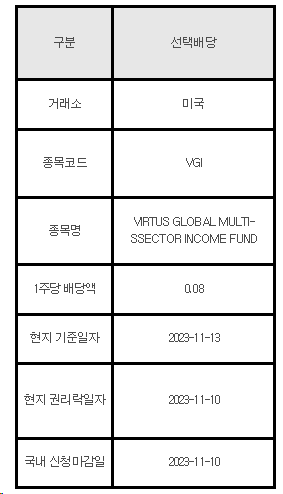미국주식 선택배당 안내 VGI