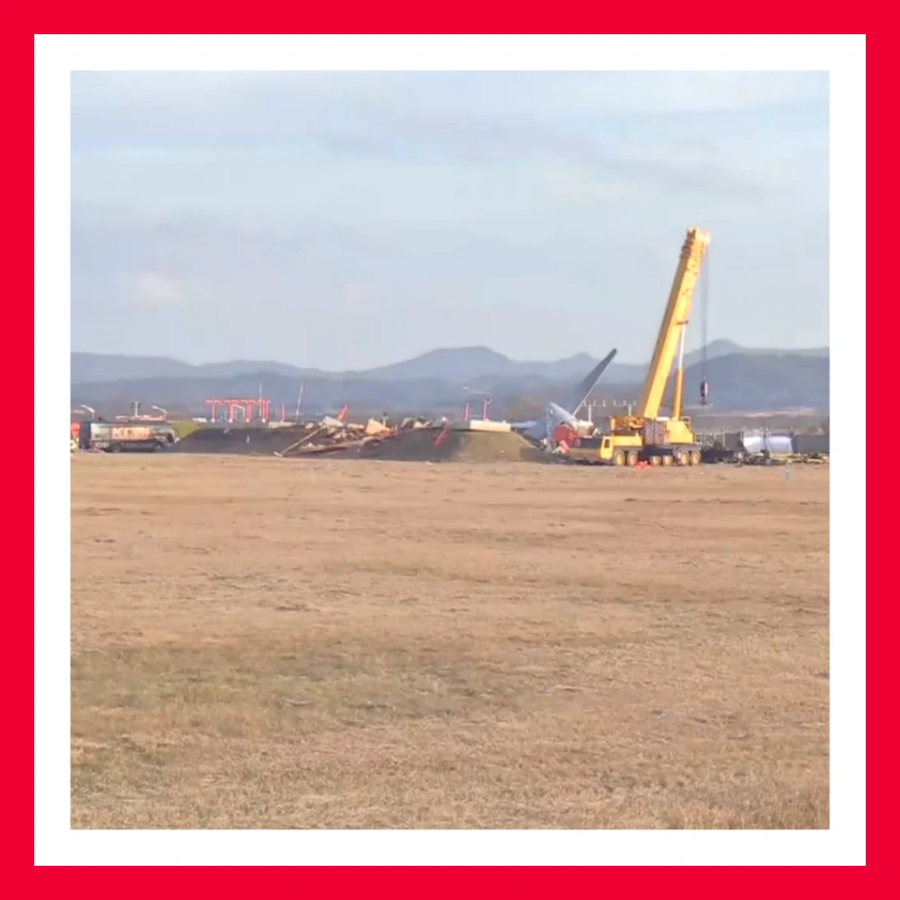 제주항공-엔진-깃털-조류충돌