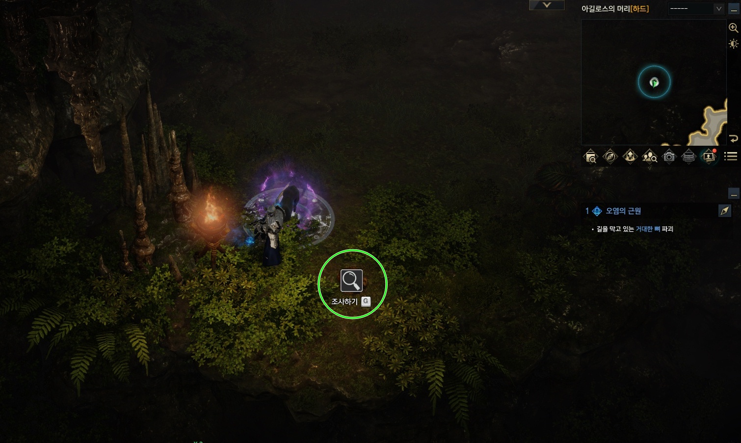 화톳불 옆 499년 된 메라주 위치