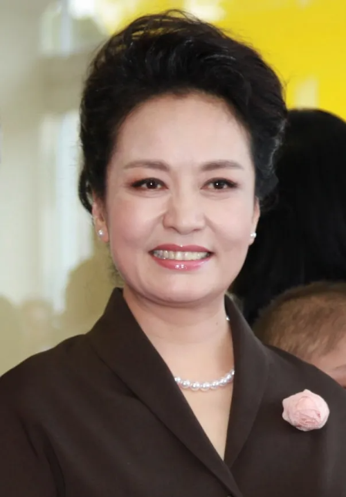 시진핑부인가수
