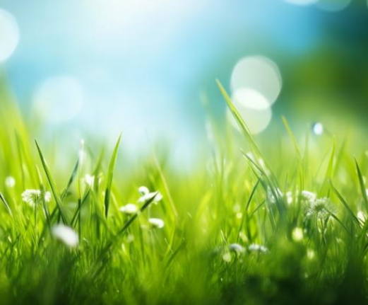 주말 인사말 문구 모음